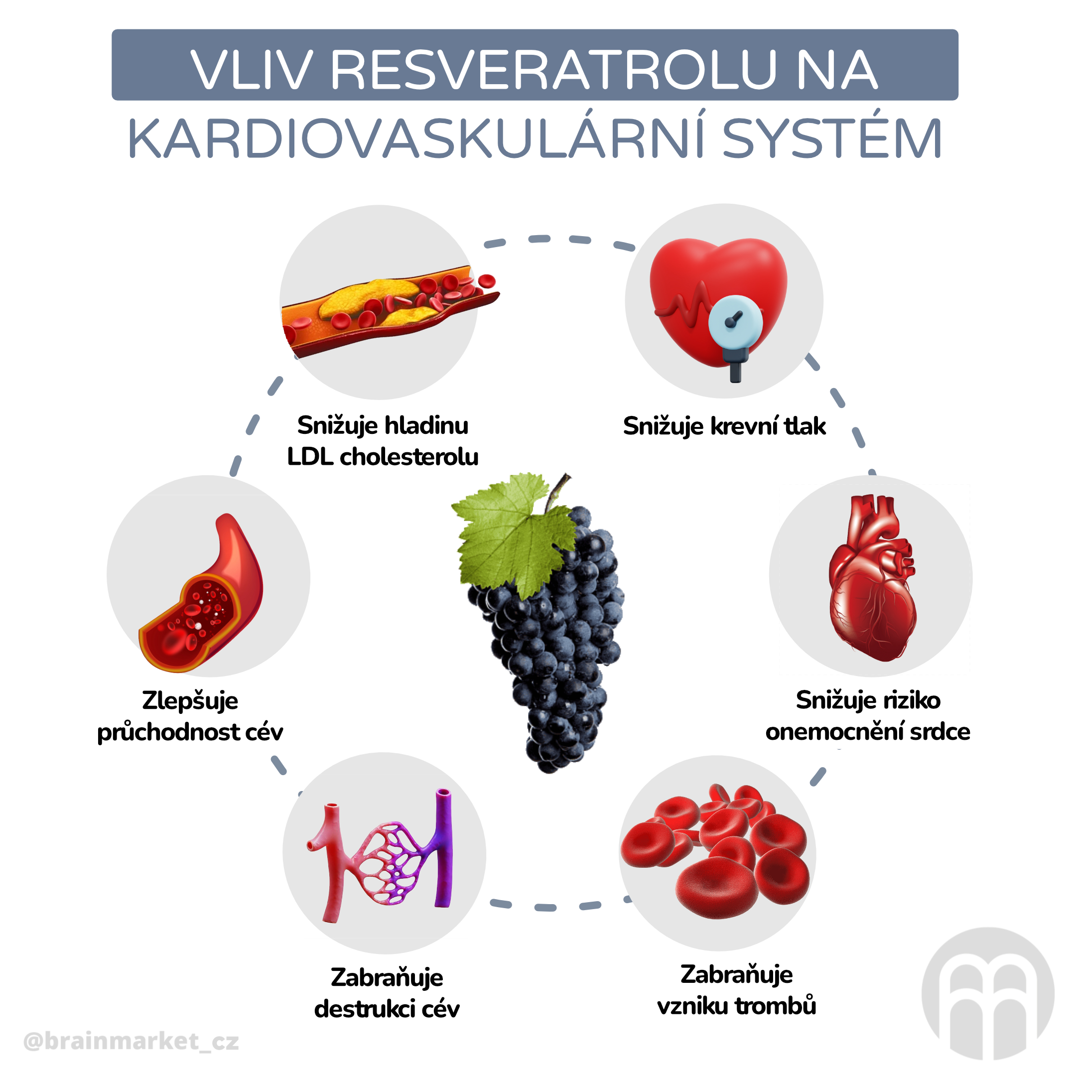 Vliv resveratrolu na Kardiovaskulární systém_inforgafika_cz